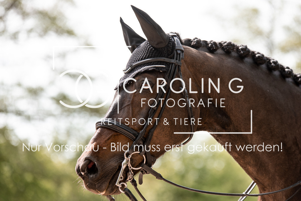 DSC_2235 | Turnierfotografin Carolin Gieschke, Turnierfotografie Carolin G Fotografie, Turnierfotos Kirchheim/Teck, Esslingen, Stuttgart, Bodenseekreis
