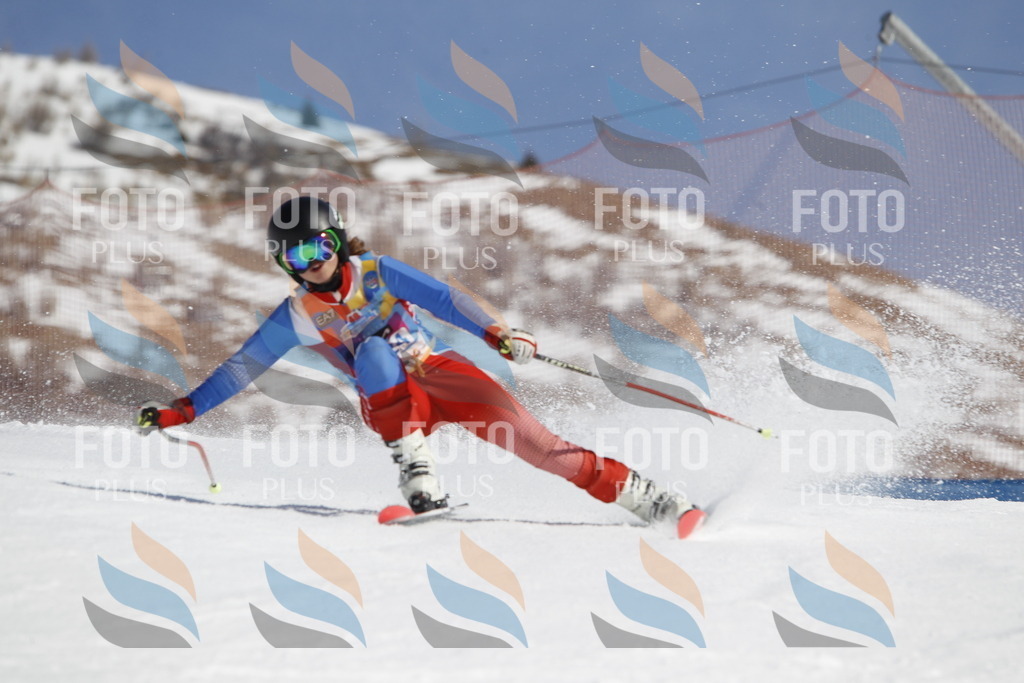 _U3G0768 | holidayphoto