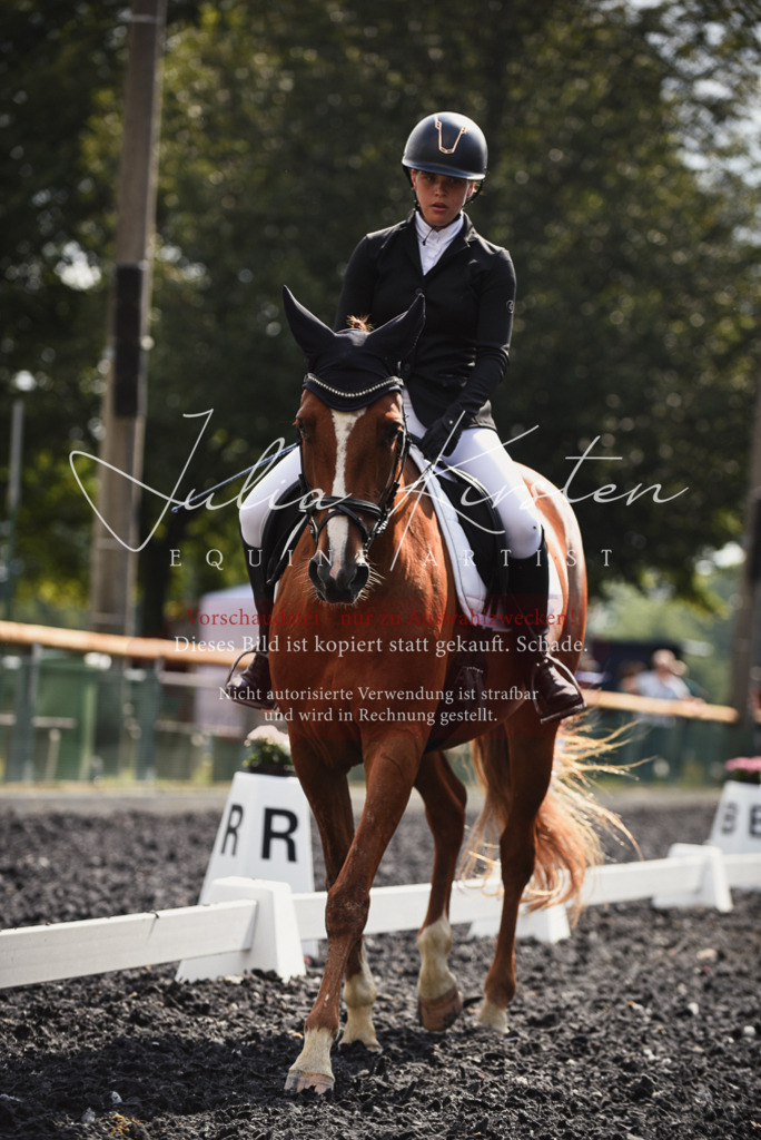 DSC_3883 | Pferde- und Turnierfotografie in Westsachsen. Pferdeportraits, Auftragszeichnungen und intuitive Kunst.