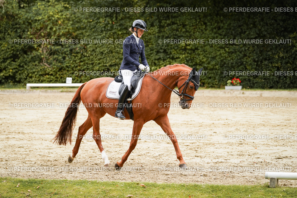 DSC00093 | Pferdegrafie