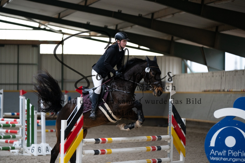 A7V07203 | Pferdefotograf