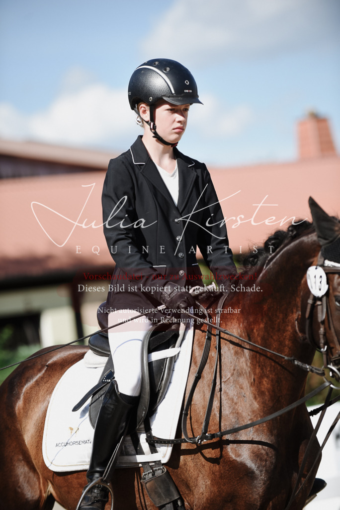 DSC_0049 | Pferde- und Turnierfotografie in Westsachsen. Pferdeportraits, Auftragszeichnungen und intuitive Kunst.