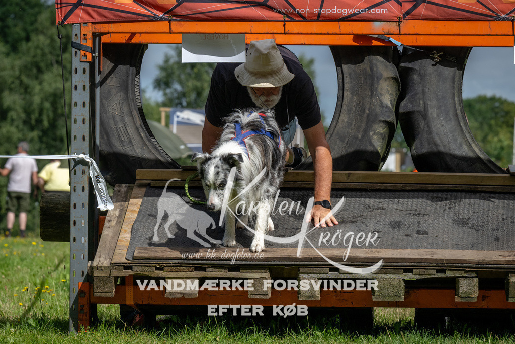 1134_ZZ92539 | kk-dogfotos