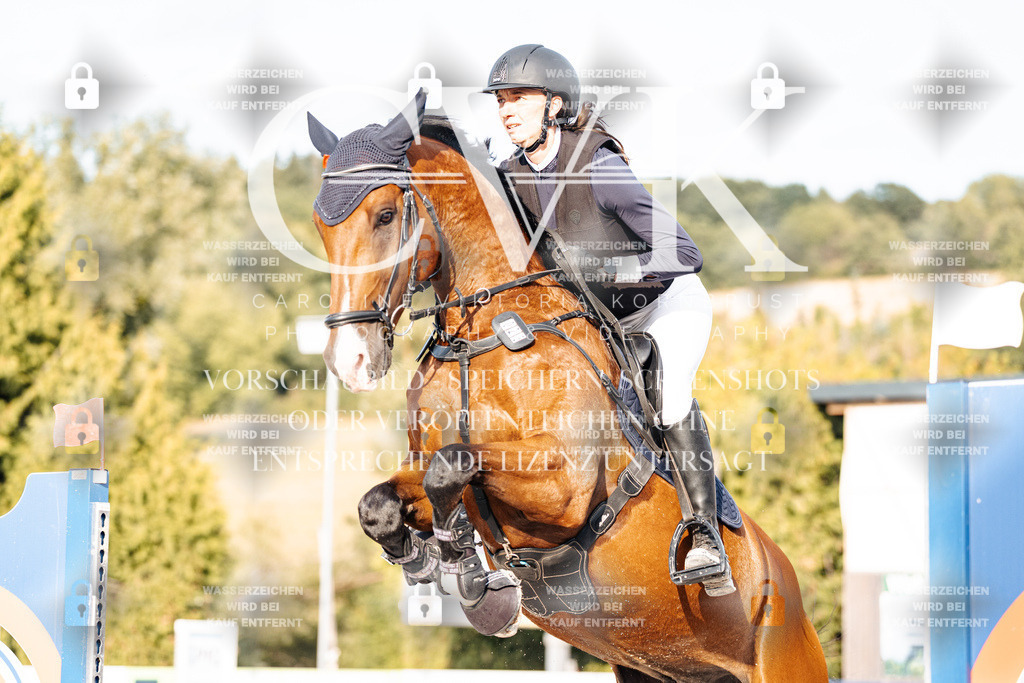 CK903363 | Turnierfotografie Pferdefotografie Trier Rheinland-Pfalz Pferdesport Reitsport Tierfotografie Sportfotografie Pferdevideo Pferdevideografie Equestrianvideography equestrianphotography  - Realisiert mit Pictrs.com