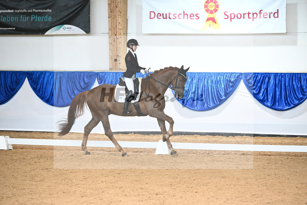 Kat-Nr. 9 Beau W_Wagner_14240239 | hf-fotografie - Realisiert mit Pictrs.com