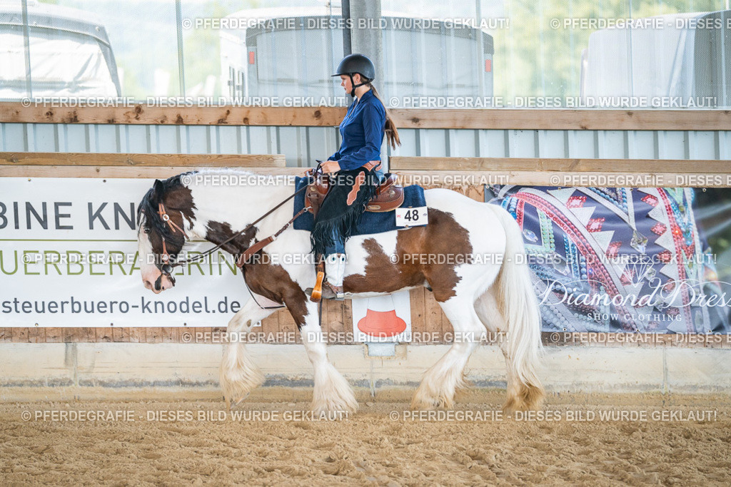 DSC03547 | Pferdegrafie