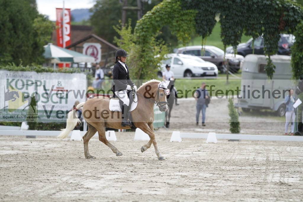 _MG_9110 | equestrian-live-com