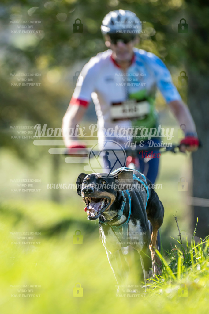 MompixPhotography_20TSB_E3_DS1-49 | PayLife