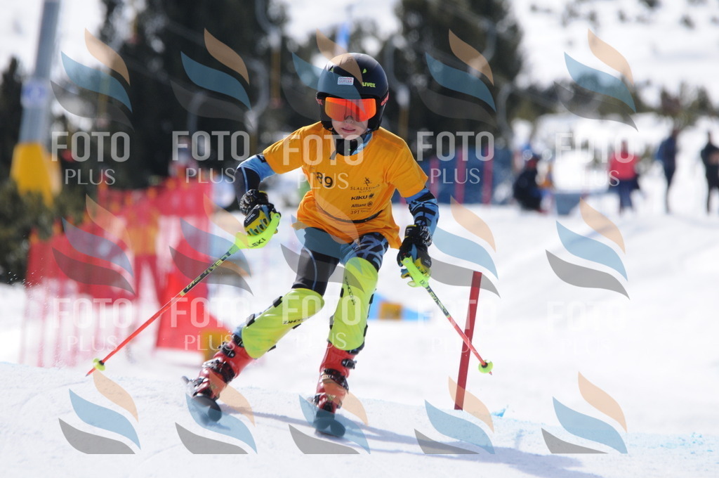 C9056 | holidayphoto