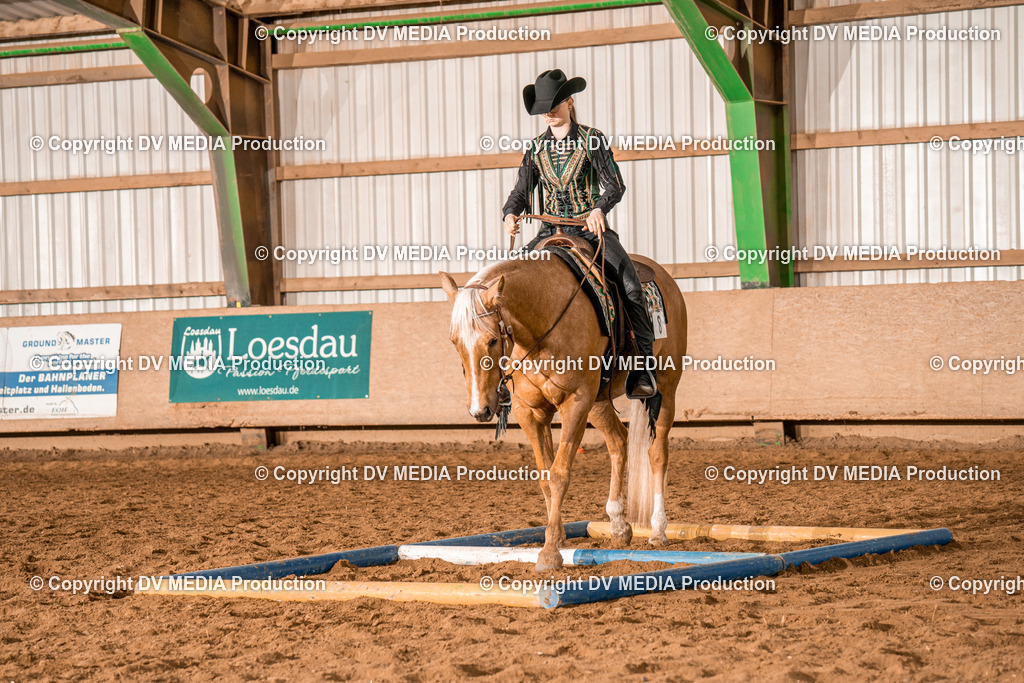 BAL00529 | dv-media-shop - Realisiert mit Pictrs.com