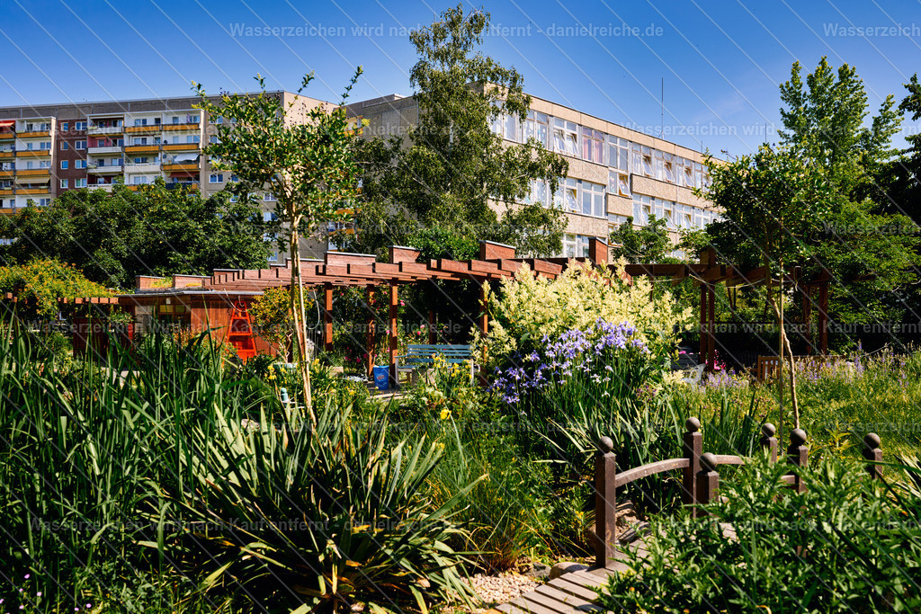 Leipzig Grünau – Kolonnadengarten Grünau (Sommer 2026) | Leipzig Grünau – Kolonnadengarten Grünau (Sommer 2026) - Realisiert mit Pictrs.com