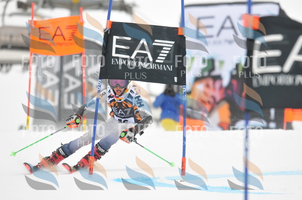 DSC_7755 | holidayphoto