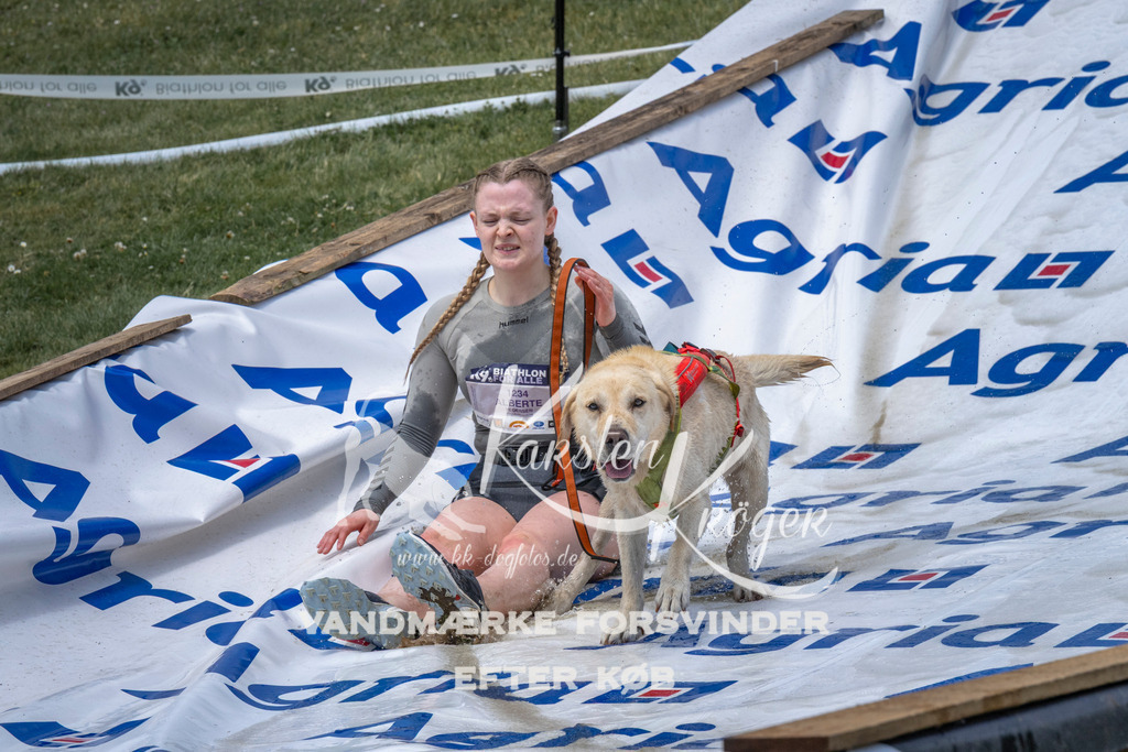 1126_ZZ92145 | kk-dogfotos