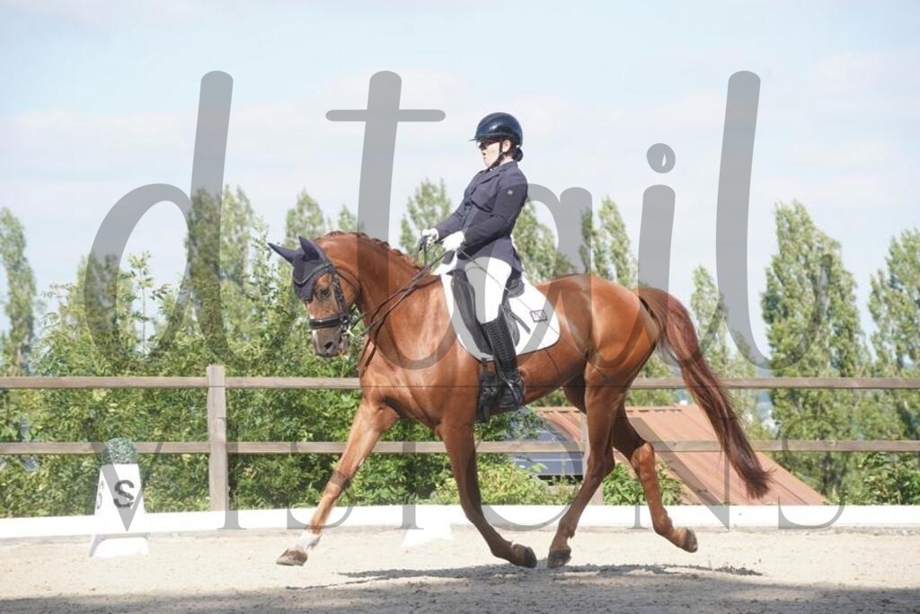 tgbhsonntag (545) | d.tail Visions - Shop - Realisiert mit Pictrs.com