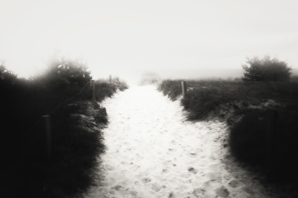 2016.07.31_IMG_8242_2 | Stimmungsvolle Fotografien von Dorit Fuhg. Kaufen Sie bequem hochwertige Fine-Art Drucke, Wandbilder und Kalender hier im Online-Shop. - Realisiert mit Pictrs.com