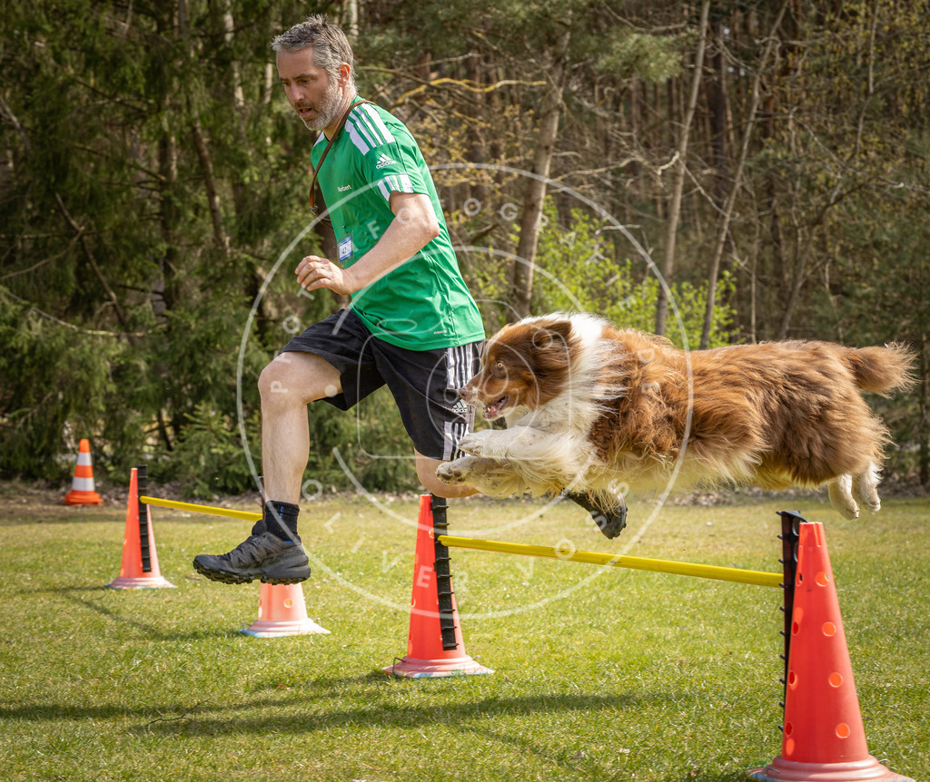 Pfotenfotografie_DV3A6672 | Hundefotografie, Tierfotograf, Pfotenfotografie, Fotoshooting Hund, Hunde Portrait, Hundesport, Hundeportraits, Heideshooting, Hunde, Sportfotograf, Hundefotograf, Turnierhundsport, THS,  - Realisiert mit Pictrs.com