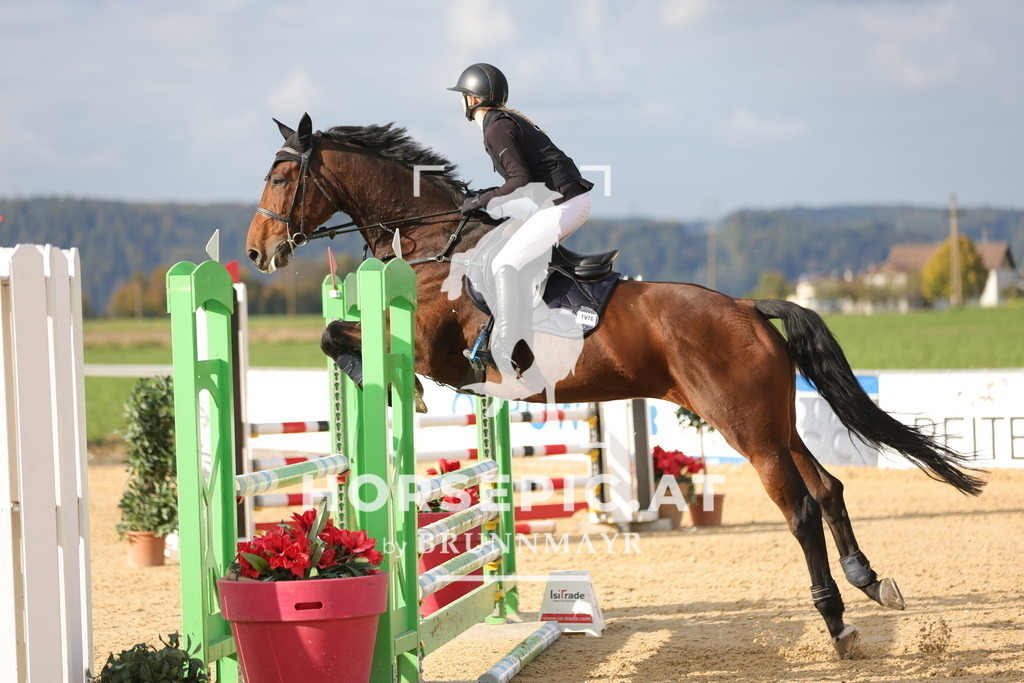 0P6A9908 | Willkommen bei Brunnmayr - Design & Fotografie – Ihrem Spezialisten für Reitturniere und Pferdeveranstaltungen in Oberösterreich, Salzburg und Bayern! Seit über 17 Jahren sind wir leidenschaftlich dabei.