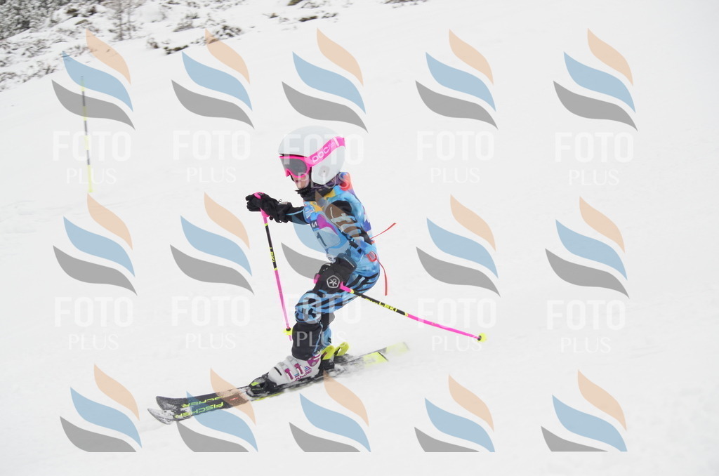 C0516 | holidayphoto