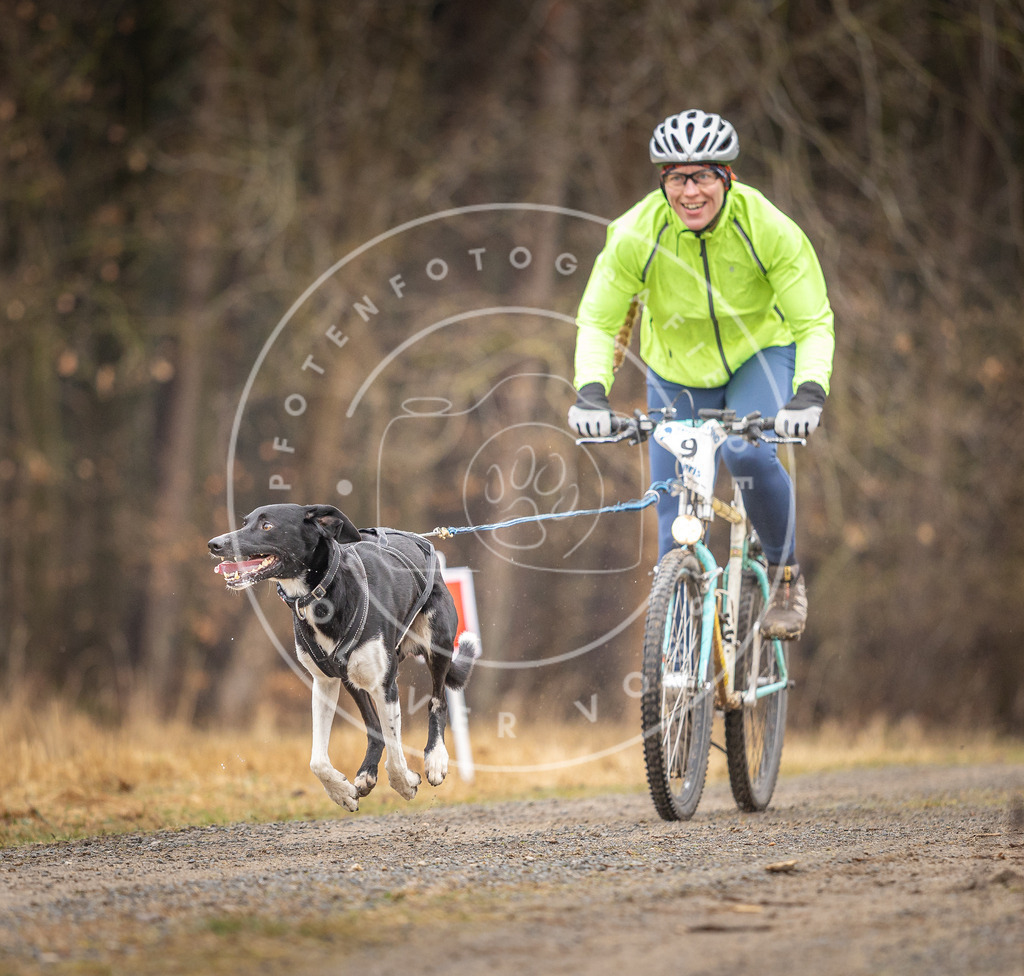 DV3A3203 | Hundefotografie, Tierfotograf, Pfotenfotografie, Fotoshooting Hund, Hunde Portrait, Hundesport, Hundeportraits, Heideshooting, Hunde, Sportfotograf, Hundefotograf, Turnierhundsport, THS,  - Realisiert mit Pictrs.com