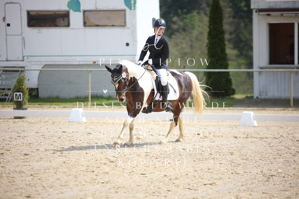 IMGT3486 | pl-fotografie