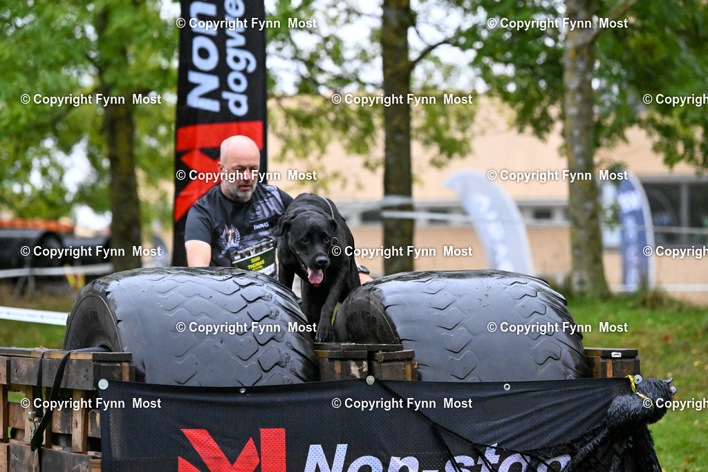 DSC_9409 | Hallo und herzlich Willkommen auf meiner Shop-Seite Fynn Most.

Ich wünsche Dir viel Spaß beim stöbern durch die Bilder, wenn Du Fragen hast oder Bilder vermisst, kannst du mir gerne eine Nachricht schreiben. - Realisiert mit Pictrs.com