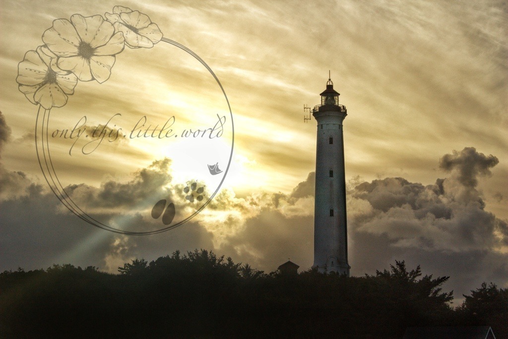 IMG_0100-01 | only.this.little.world - Realisiert mit Pictrs.com