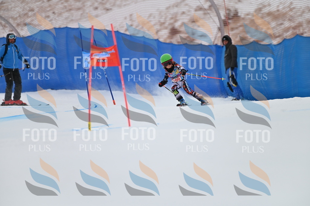 BGV_0497 | holidayphoto