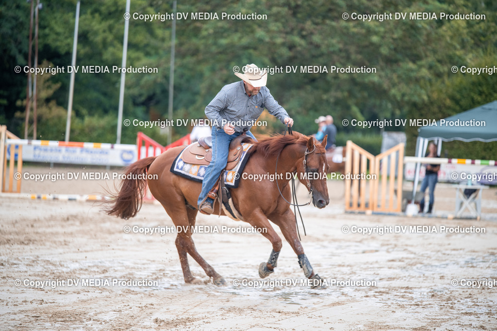 ZS2_4362 | dv-media-shop - Realisiert mit Pictrs.com