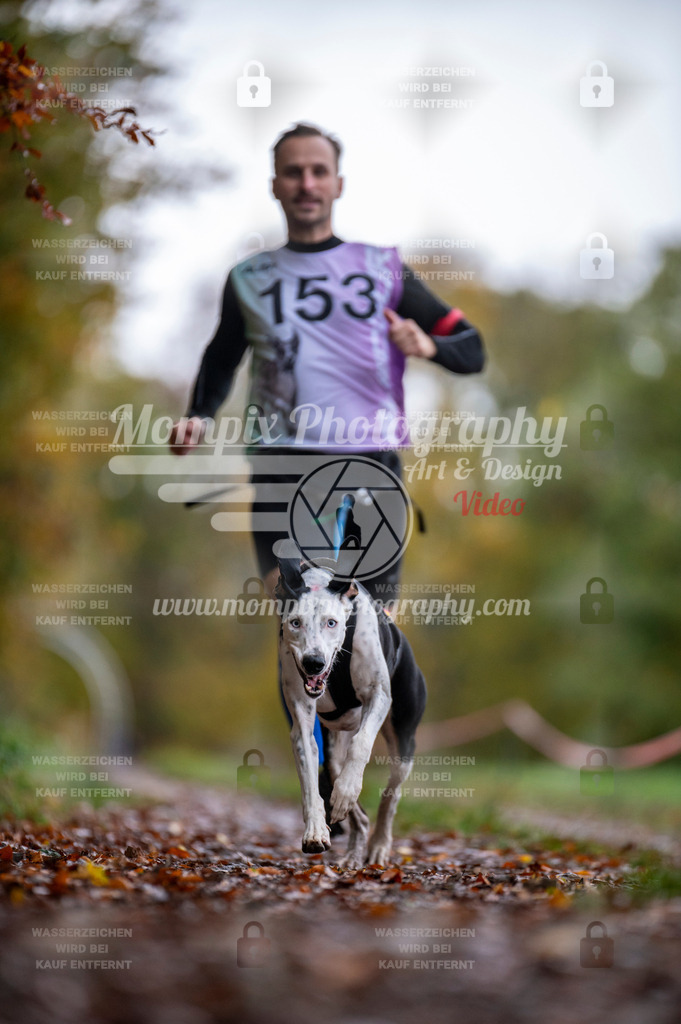 DBT_DAKM_SA_4_11_2023_Canicross-47 | PayLife