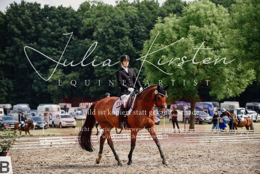 DSC_9770 | Pferde- und Turnierfotografie in Westsachsen. Pferdeportraits, Auftragszeichnungen und intuitive Kunst.
