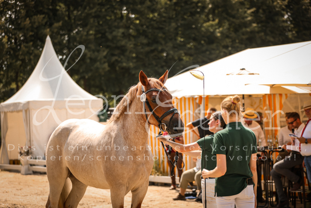 1.Sa00061 | Leoni Ertmer Photography - Realisiert mit Pictrs.com