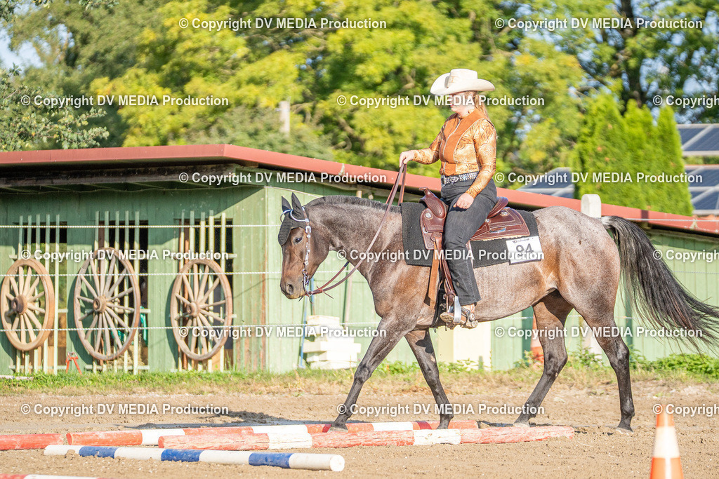 Balingen Tag 2-74 | dv-media-shop - Realisiert mit Pictrs.com