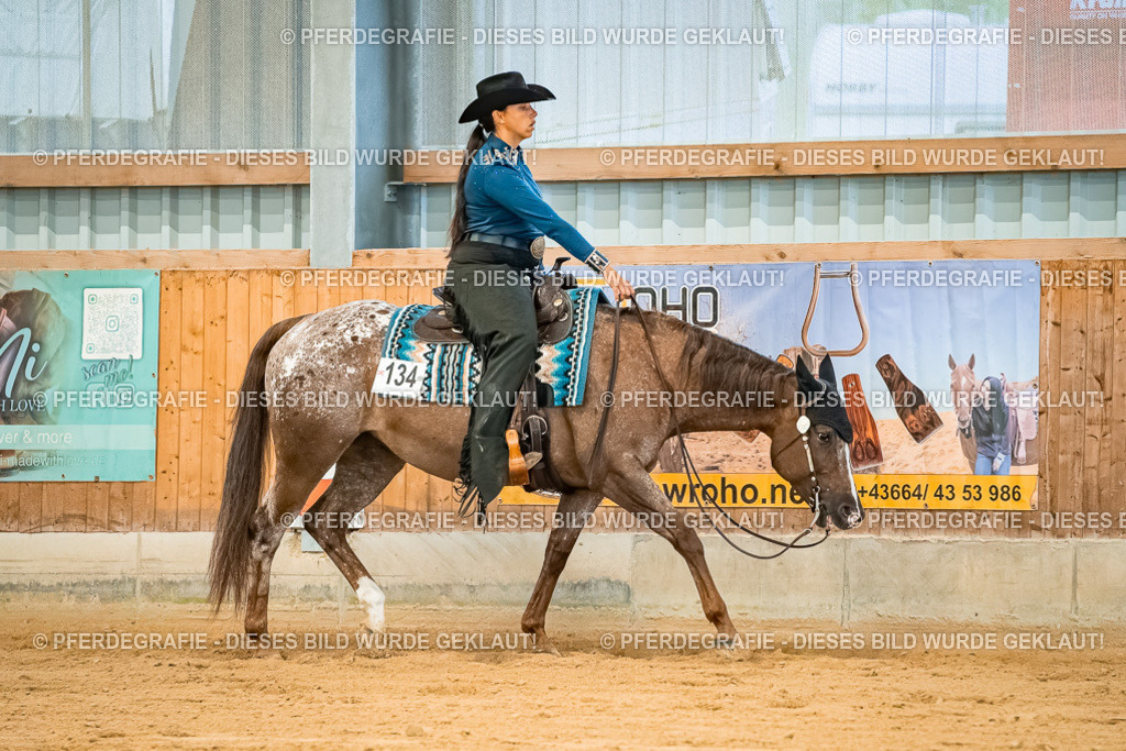 DSC00118 | Pferdegrafie