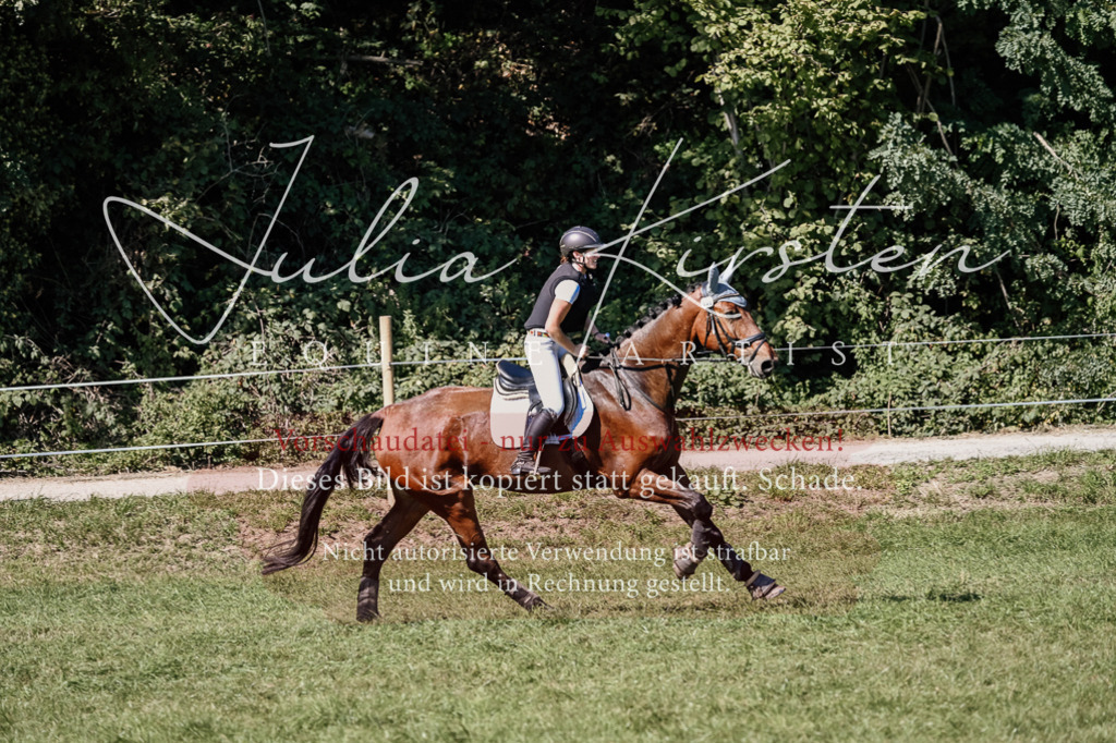DSC_2700 | Pferde- und Turnierfotografie in Westsachsen. Pferdeportraits, Auftragszeichnungen und intuitive Kunst.