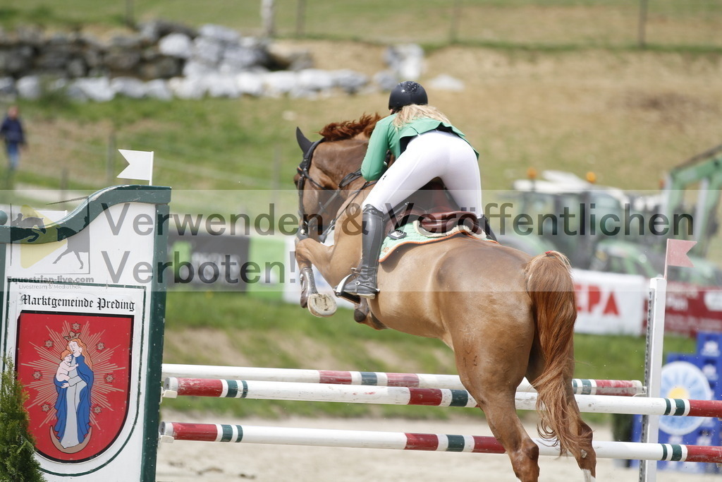 _MG_4100 | equestrian-live-com