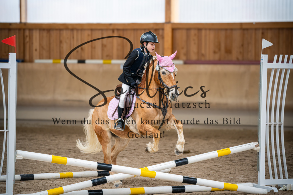 A7V00073 | Pferdefotograf