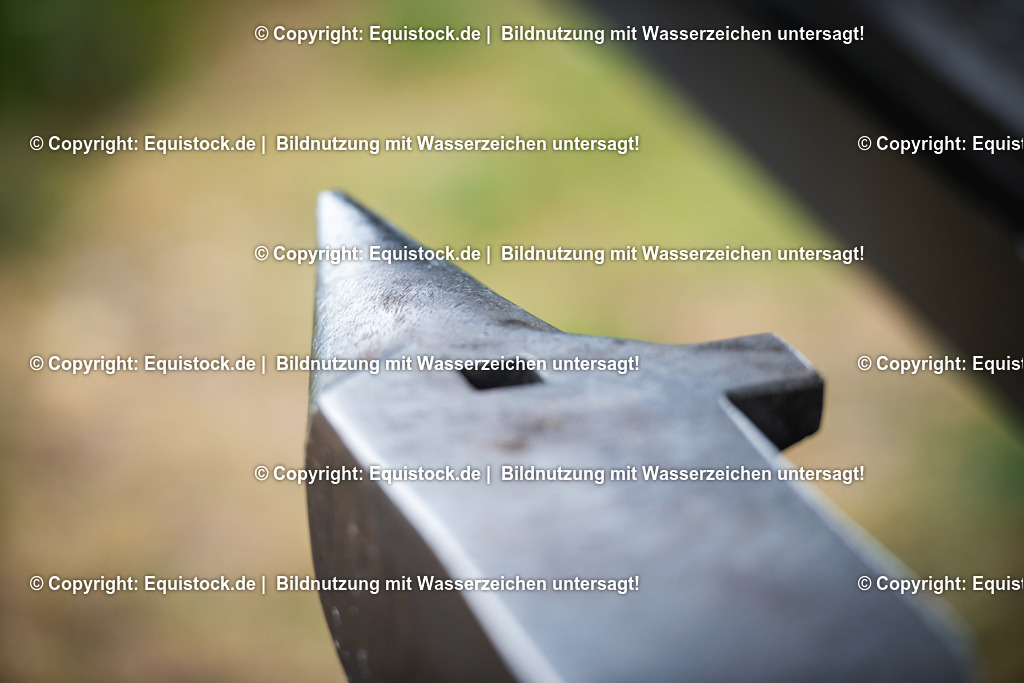 20190711_Hufschmied_0001 | Foto: Thomas Hartig