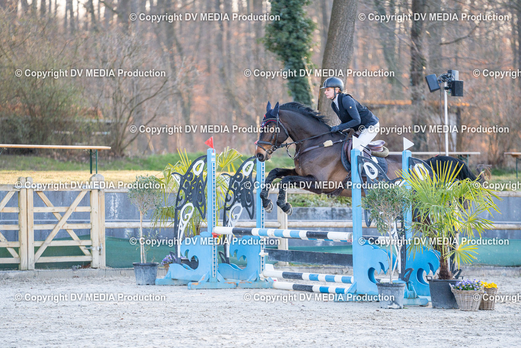 DSC-275 | dv-media-shop - Realisiert mit Pictrs.com