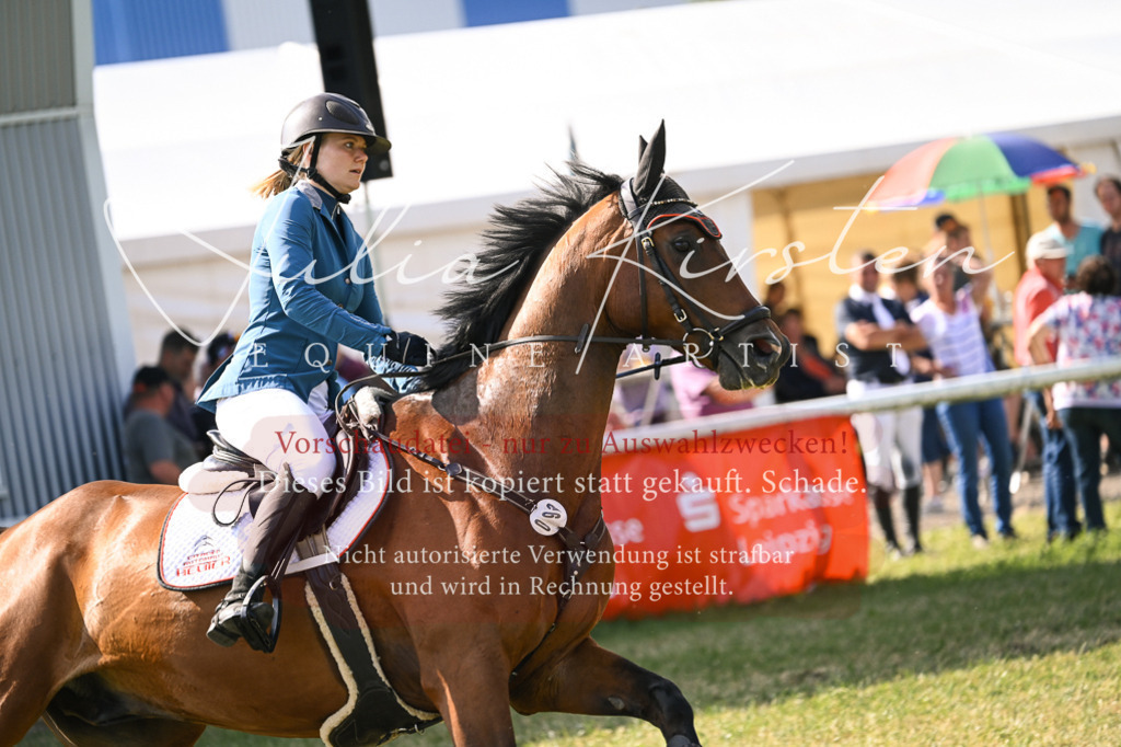 DSC_1131 | Pferde- und Turnierfotografie in Westsachsen. Pferdeportraits, Auftragszeichnungen und intuitive Kunst.