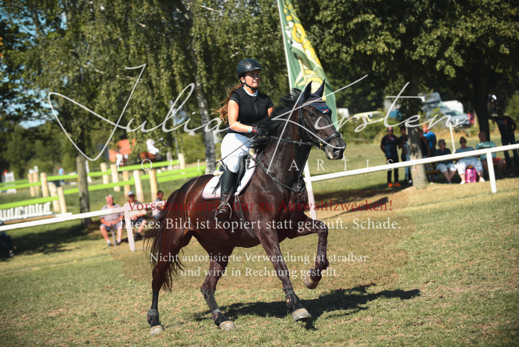 DSC_7077 | Pferde- und Turnierfotografie in Westsachsen. Pferdeportraits, Auftragszeichnungen und intuitive Kunst.