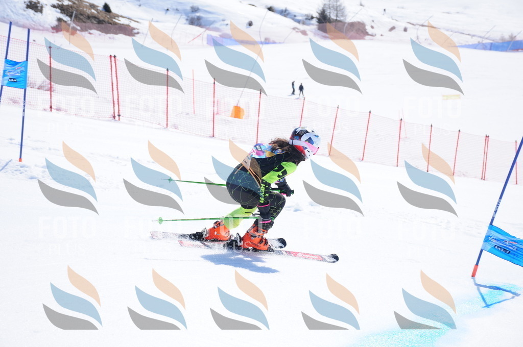 DSC_4936 | holidayphoto