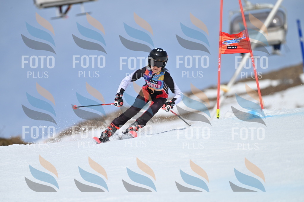 BGV_1230 | holidayphoto