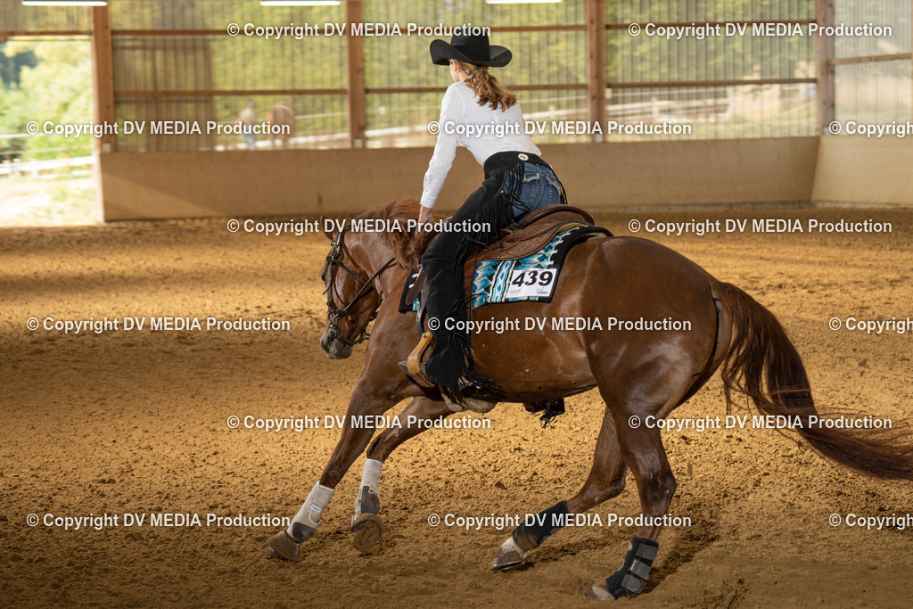 LAU01405 | dv-media-shop - Realisiert mit Pictrs.com