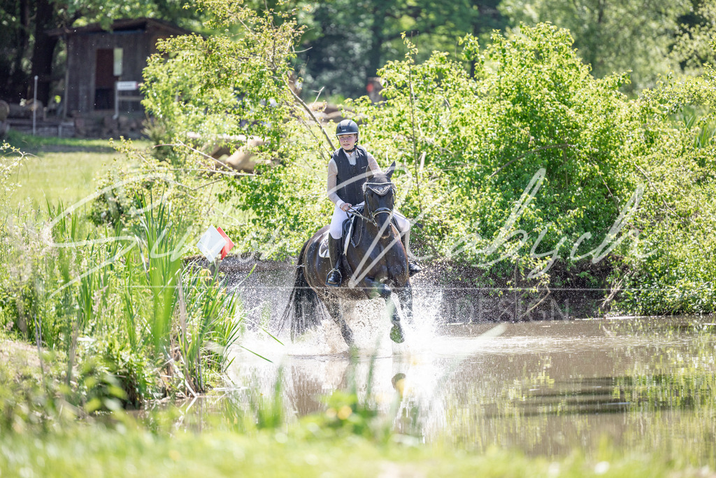 20260523-_3LI8404 | Tierfotografie Pferde, Hunde, Katzen, Haustiere.
Turnierfotografie Reitturniere, Reiten, Springreiten, Dressur in Hanau, dem Main-Kinzig-Kreis und dem Rhein-Main- Gebiet um Frankfurt