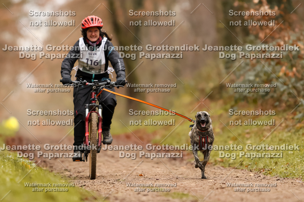 Dog Paparazzi - Speedhunter Mannheim  2025-320 | Dog Paparazzi Jeanette Grottendiek Fotografie & Videografie