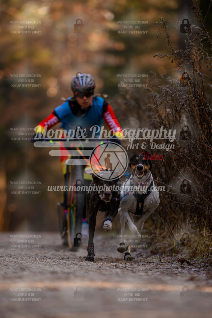 MompixPhotography_DM_AKDM_SO_2025_Scooter-3 | PayLife