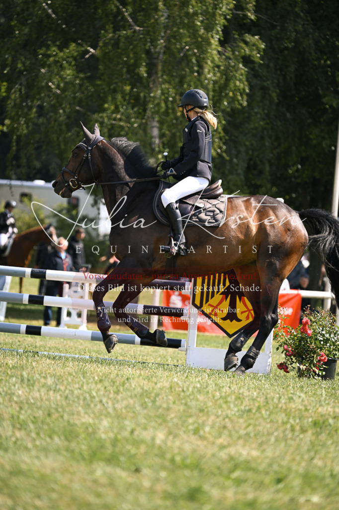 DSC_8956 | Pferde- und Turnierfotografie in Westsachsen. Pferdeportraits, Auftragszeichnungen und intuitive Kunst.