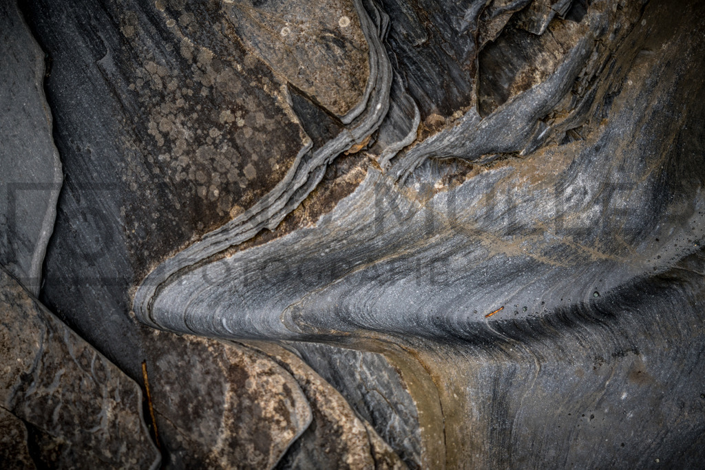 DSC01702 | Tinu Müller Fotografie- Bildershop - Realisiert mit Pictrs.com