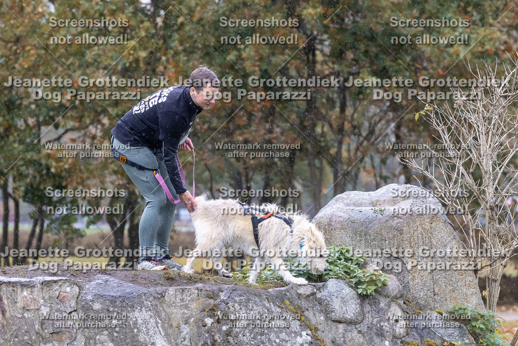 Dog Paparazzi - SD CaniX Championship 2025-721 | Dog Paparazzi Jeanette Grottendiek Fotografie & Videografie - Realisiert mit Pictrs.com