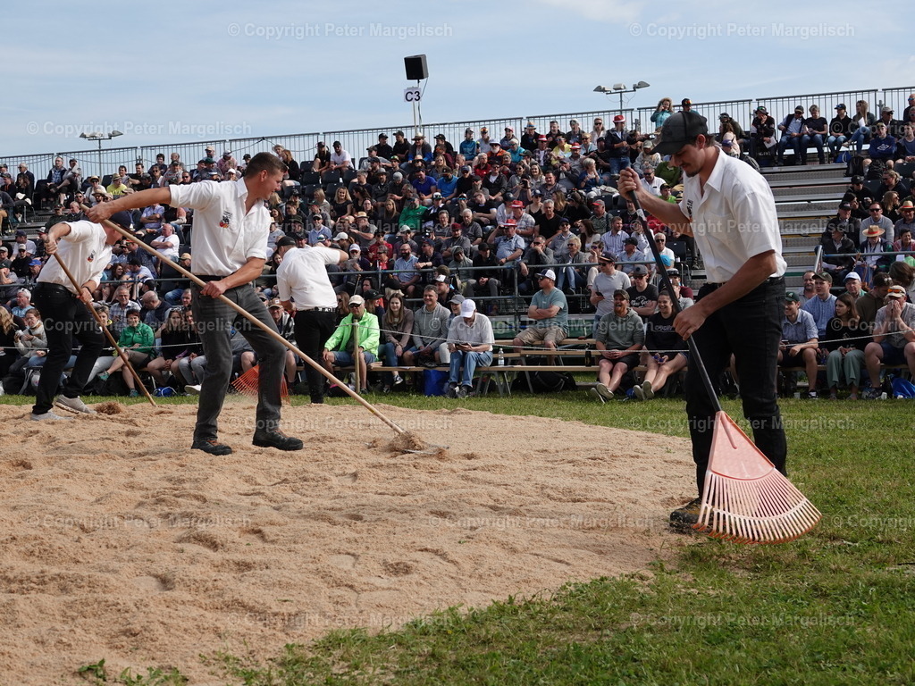 DSC06678 | Schwingen - Realisiert mit Pictrs.com